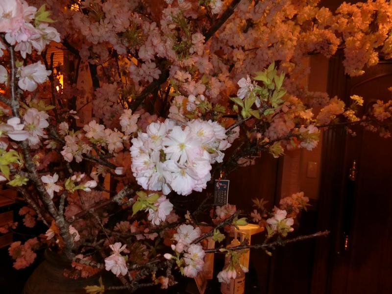 桜