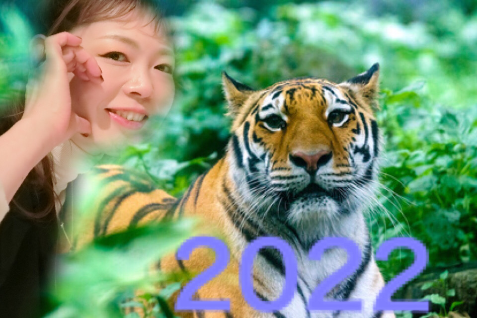 2022年