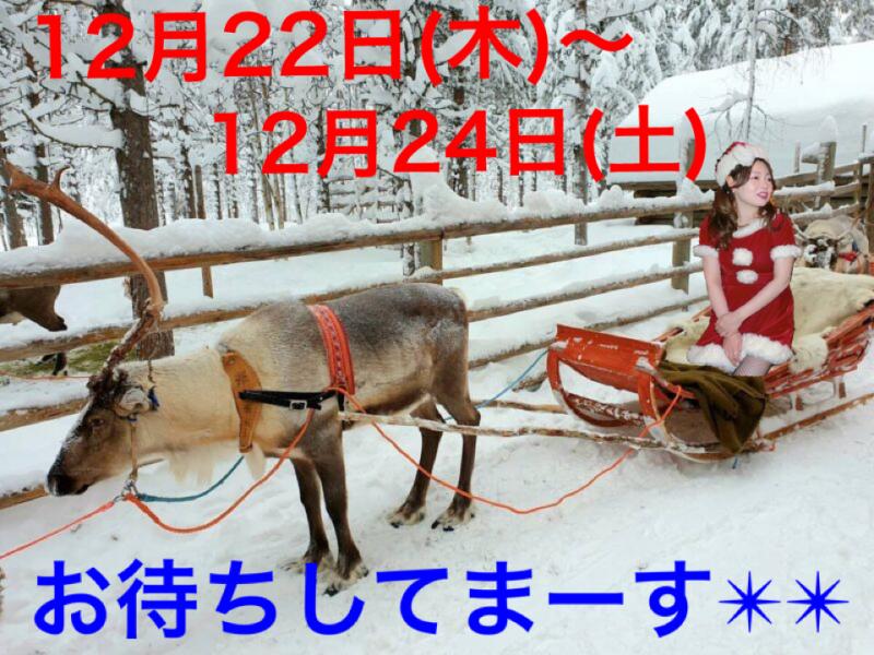 毎年恒例の