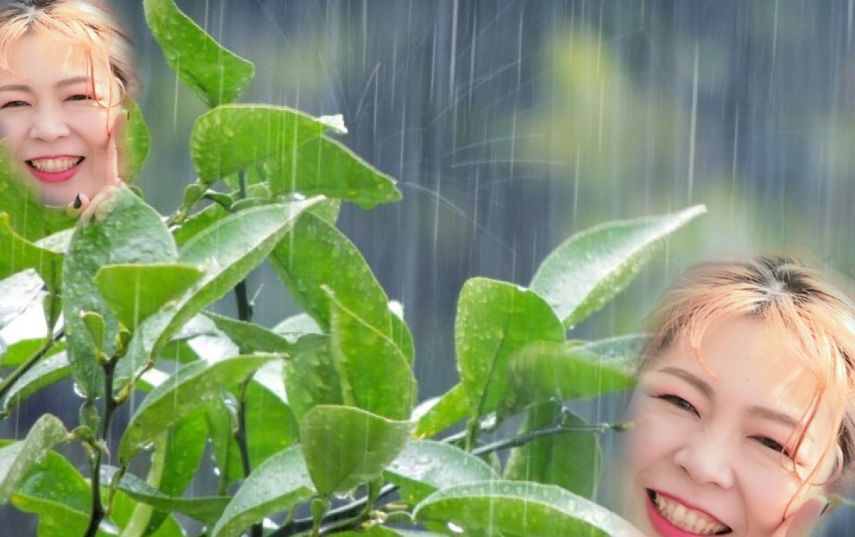 梅雨入り